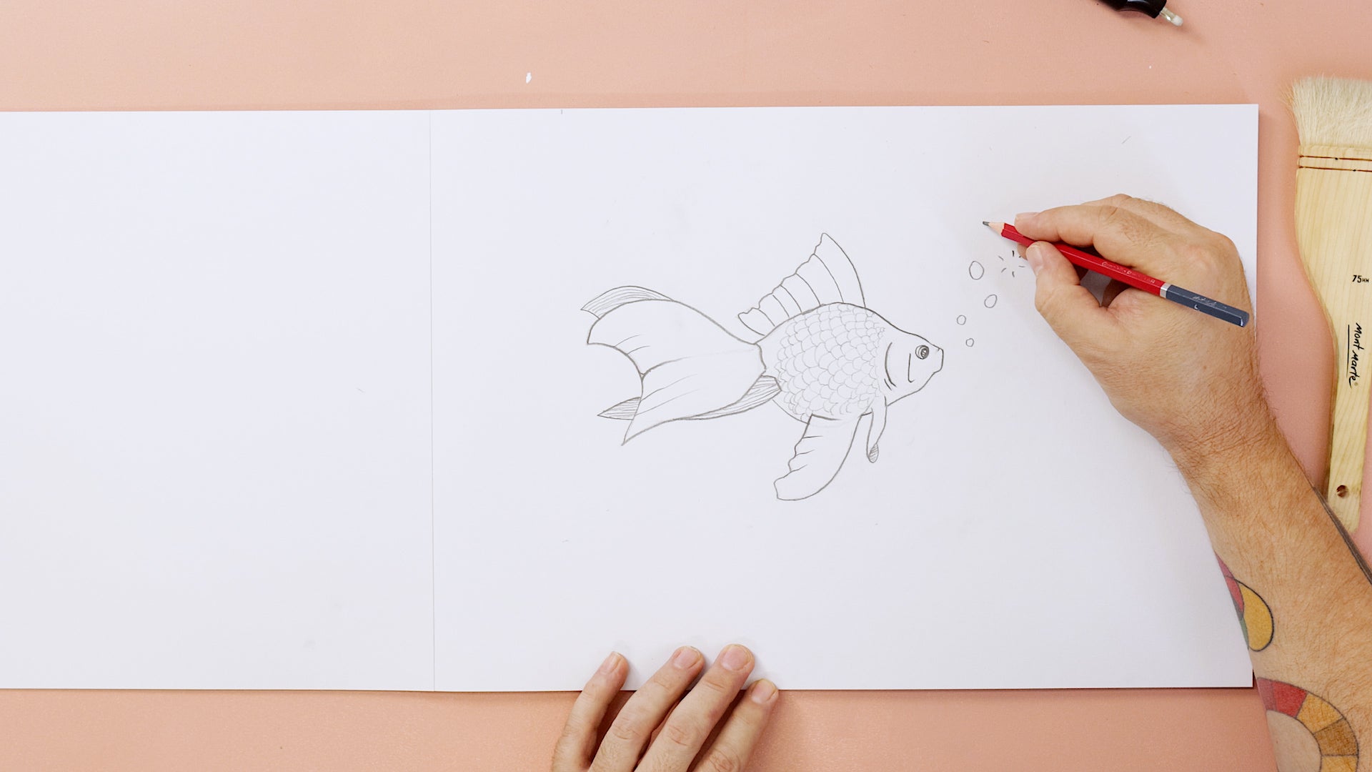 How To Draw Fish How To Draw Fish